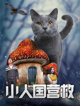 正统的爱