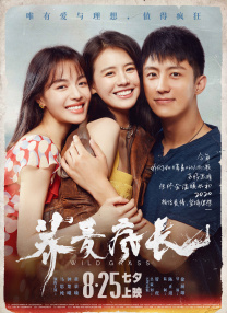 美女污黄网站